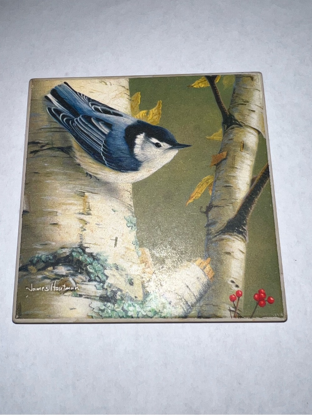 🔴James "Jim"/R. Hautman Art Print Highland Graphics Feathered Friends Coaster